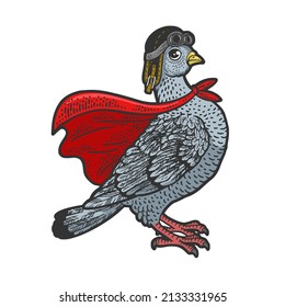 Superhero pigeon dove bird color sketch engraving vector illustration. T-shirt apparel print design. Scratch board imitation. Black and white hand drawn image.