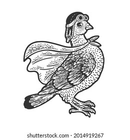 Superhero pigeon dove bird sketch engraving vector illustration. T-shirt apparel print design. Scratch board imitation. Black and white hand drawn image.