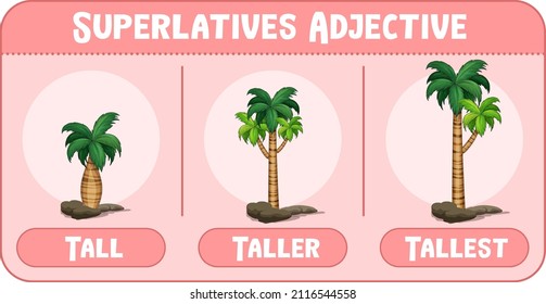 Superlatives Adjective for word tall illustration