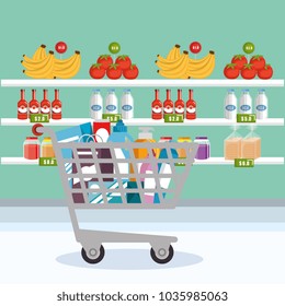 supermarket groceries in shopping cart