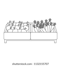 supermarket wooden shelf with carrots and apples