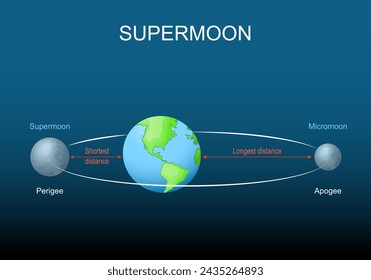  Supermoon, micromoon, apogee, perigee. Lunar cycle. Moon elliptical orbit. Isometric flat vector Illustration