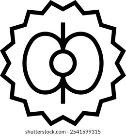 supernova icon. Thin linear style design isolated on white background