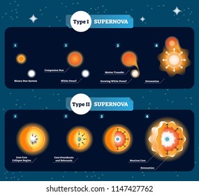 Supernova vector illustration. Scheme how stars become to big bang and explosion. Explained companion star, matter transfer, dwarf, detonation and core collapse. Isolated cosmos and space objects.