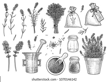 Supplies of lavender collection illustration, drawing, engraving, ink, line art, vector
