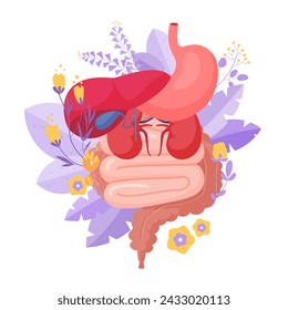 Support and care for health of internal organs. Medical anatomy diagram of organs in human belly, stomach and intestines, kidneys and liver with flowers and plants cartoon vector illustration