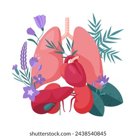 Support and care for health of internal organs. Healthy human lungs and heart, kidneys and liver with gallbladder on medical anatomy diagram with flowers and plants cartoon vector illustration