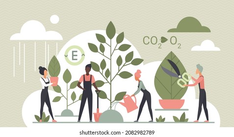 Support For Nature And Ecology Vector Illustration. Cartoon Community Of Tiny People Work With Shovel And Watering Can In Garden, Grow Plants In Soil For Photosynthesis Process. Environment Concept