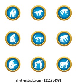 Supremacy icons set. Flat set of 9 supremacy vector icons for web isolated on white background