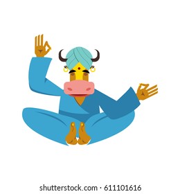 Surabhi Holy Celestial Cow in India. Animal yoga. Lotus Pose. Zen and relaxation.