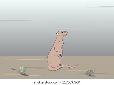 surakat stands on nature vector, surakat stands on nature vector