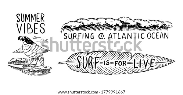  Surf badge, Vintage Surfer logo. Retro Wave and\
Bird and tropical leaf. Summer California. Engraved emblem hand\
drawn. Banner or poster.