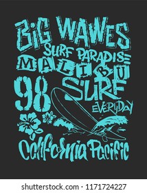 Surf graphic. T-shirt Printing. Lettering Design