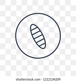 Surf vector outline icon isolated on transparent background, high quality linear Surf transparency concept can be used web and mobile
