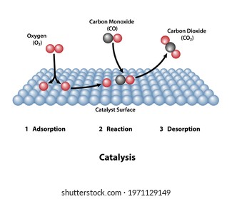 Surface catalyst with carbon monoxide and carbon dioxide. Catalysis of oxygen in a catalytic converter showing adsorption, reaction, and desorption.