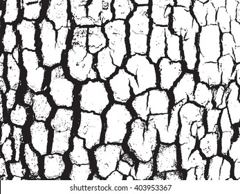 Surface closeup grain tree wallpaper decoration rough square tile bark natural crust white cortex vector maple decor old element black striped hardwood plank abstract illustration wood teak lines 