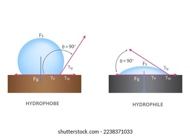 Surface tension concept vector illustration. Hydrophilic, hydrophobic and perfect wetting the solid surface with liquid. Wetting and Surface tension for water. hydrophilic and hydrophobic surface.