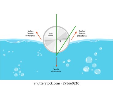 Surface Tension cross section diagram. Editable clip art.