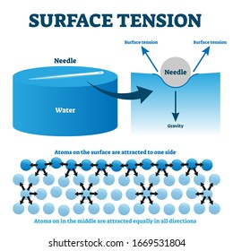 Surface Tension Explanation Vector Illustration Diagram. Physics Educational Information Scheme With Needle And Liquid Water Atoms On The Surface Attraction Example. Illustrated Study Guide Drawing.