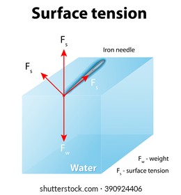 Surface tension. Iron needle stay atop the liquid because of surface tension.If the needle were placed point down on the surface, its weight acting on a smaller area and it would sink.