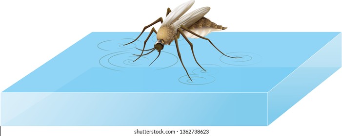 Surface Tension Vector