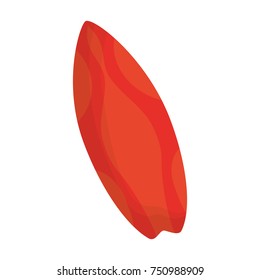 surfboard icon image