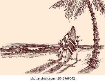 Surfboards standing in the sand on the beach under a palm tree drawing