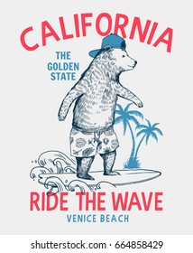 Surfer bear vector illustration. California, Venice beach t-shirt graphic.