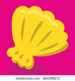 surfer boy sea shell design vector illustration
