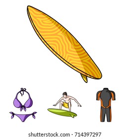 Surfer, wetsuit, bikini, surfboard. Surfing set collection icons in cartoon style vector symbol stock illustration web.