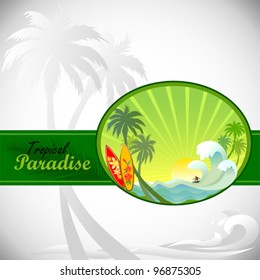 Surfing Adventures On a Tropical Island