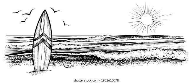 Surfing beach vector landscape, panorama view with waves, sun and seagulls. Illustration of surf board in the sand. Black and white vintage sketch.  - Shutterstock ID 1902610078