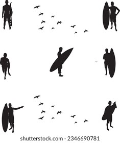 Surfing e imagen vectorial de aves 