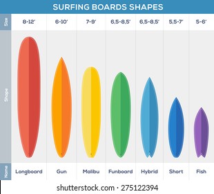 Surfing boards types vector info graphic