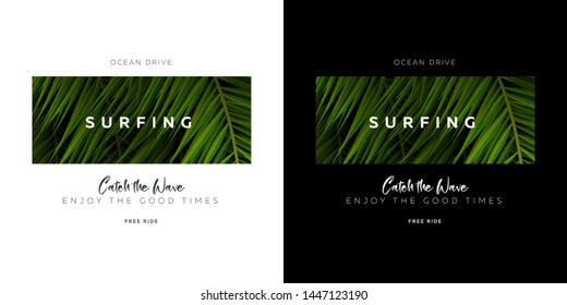 Surfing. Catch the Wave. Palm leaves typography t-shirt print