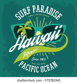 Surfing holiday sign for american hawaii island banner. Oceania paradise or aloha state banner with sunglasses and palms, shining sun. T-shirt or clothing branding, vacation and ocean travel signboard