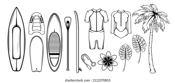 Surfing set for concept design. Vector illustration isolated. Vector drawing collection. Summer vacation illustration set. Vintage style. Tropical vacation.