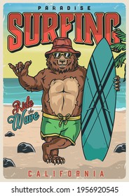 Surfing vintage colorful poster with funny bear in sunglasses panama hat shorts standing on beach near surfboard and showing shaka sign vector illustration
