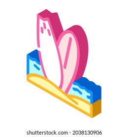 surfing water sport isometric icon vector. surfing water sport sign. isolated symbol illustration