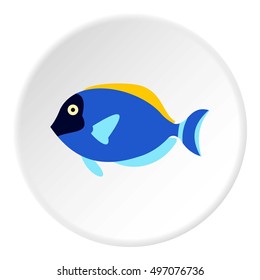 Surgeon fish icon. Flat illustration of surgeon fish vector icon for web