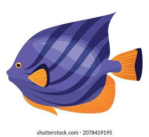 surgeon fish pruple exotic sealife