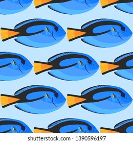 Surgeon fish seamless pattterm. Tropical ocean fish backdrop. Paracanthurus hepatus. Vector illustration