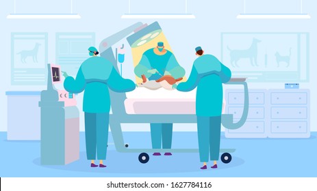 Surgeon performing operation, dog in veterinary clinic, vector illustration. Operation room in animal hospital, vet surgery doctor and nurse. Team of professional veterinarians, cartoon characters