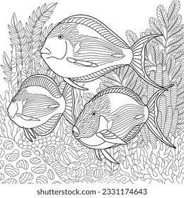 Surgeonfish coloring page. Outline sea design in mandala and zentangle style