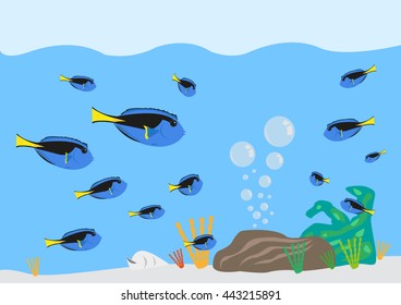 Surgeonfish Paracanthurus hepatus gathering concept. Editable Clip Art.