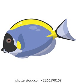 Surgeonfish, vector, flat design, illustration, object, sea, biota, fish