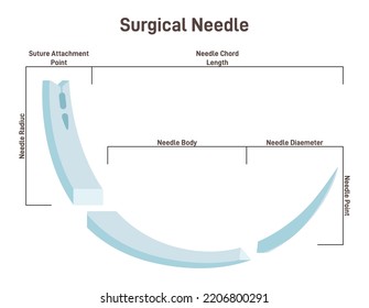 Types of Hand Sewing Needles Stock Vector - Illustration of cross