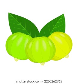 Surinam Cherry Fruit Is A Fruit That Has A Sweet And Sour Taste. Usually This Fruit Grows A Lot In South America