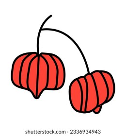 surinam cherry fruits of hand drawn icon