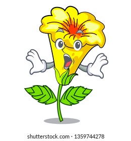 Surprised allamanda flowers in a cartoon pots
